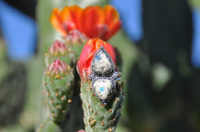 Load image into Gallery viewer, Sterling Silver ‘Twin Peaks’ handmade rings